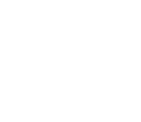 FFESSM