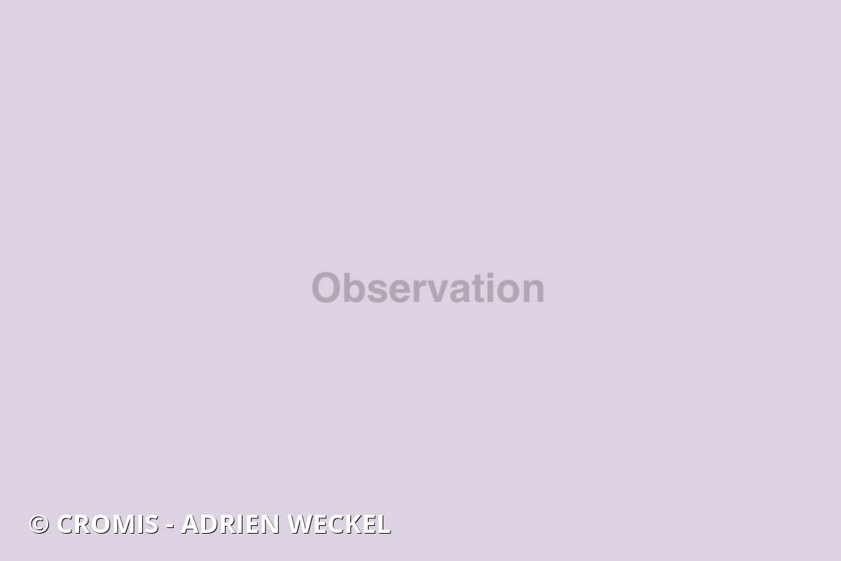 Manioc-bouteille