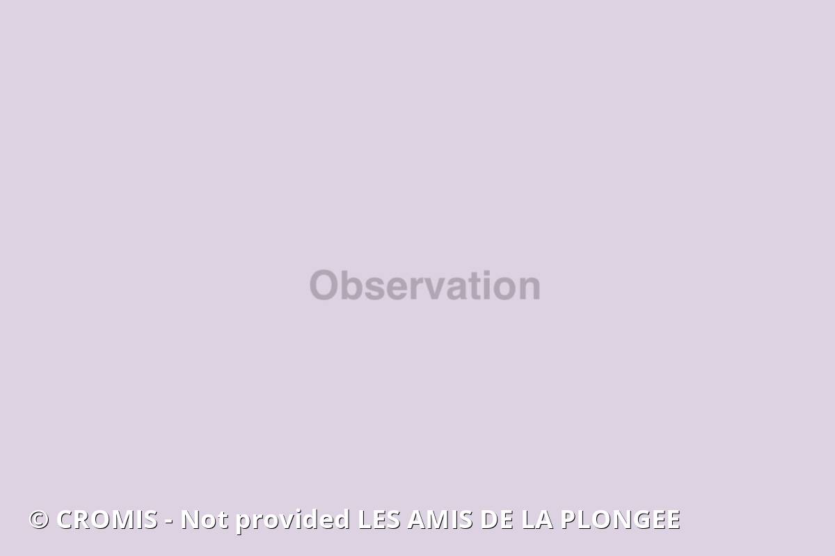 Sandre