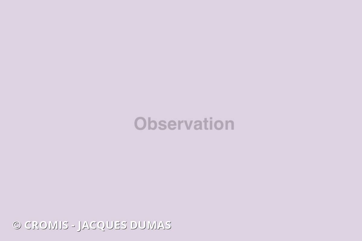 Sériole