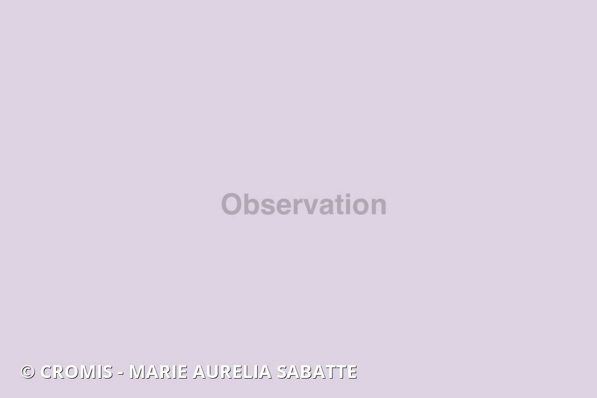 Sparaillon
